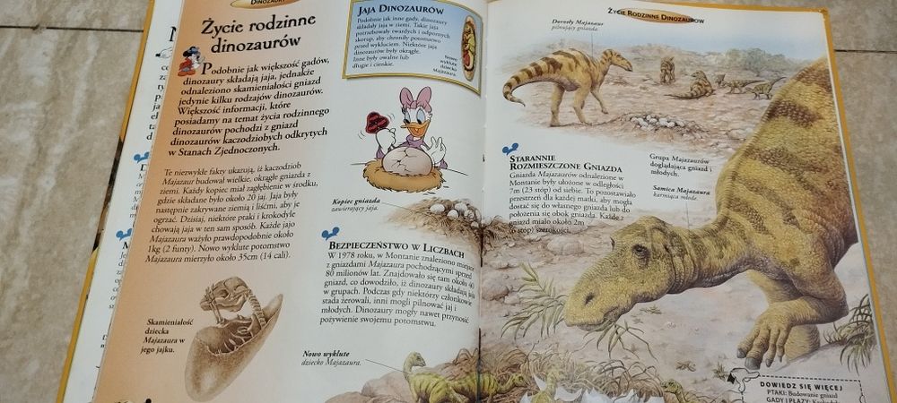Encyklopedia wiedzy dinozaury , książka dla dzieci