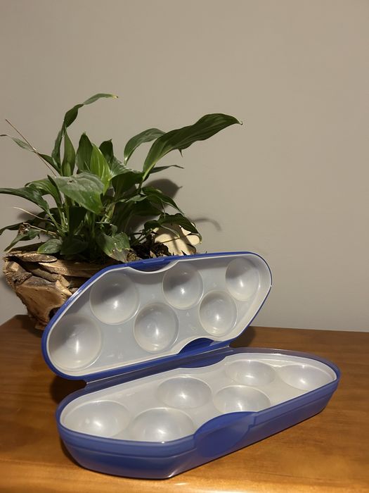 Caixa ovos tupperware