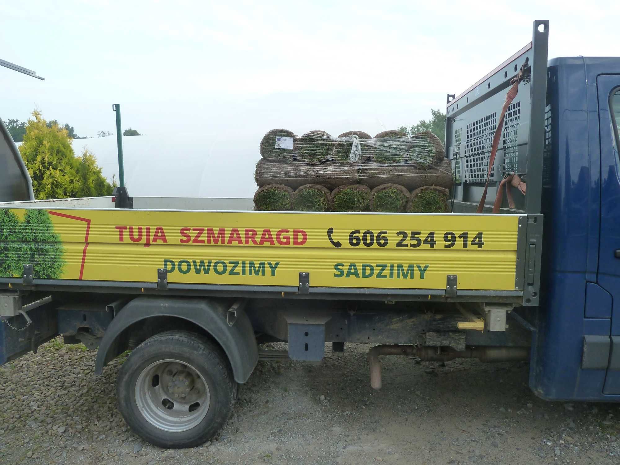 TRAWA Z ROLKI BIELSKO-BIAŁA  15ZŁ m2 - dostawa gratis