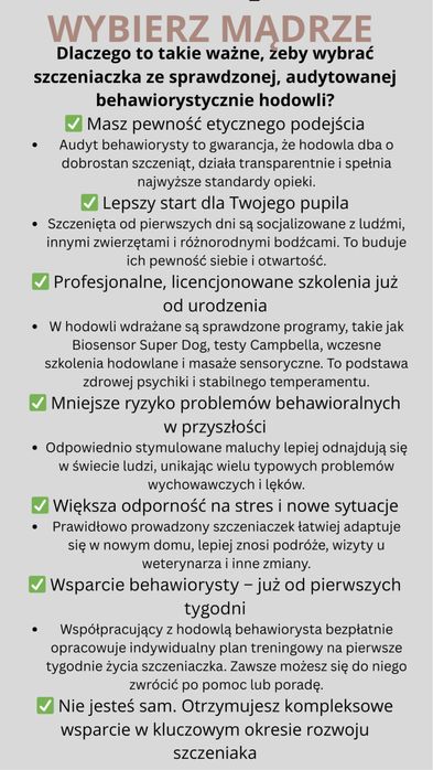 Cavapoo ciemny badania genetyczne test Campbella komplet szczepień