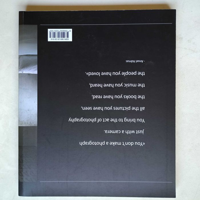 Luzes, Câmara, Ação de Pedro do Canto Brum