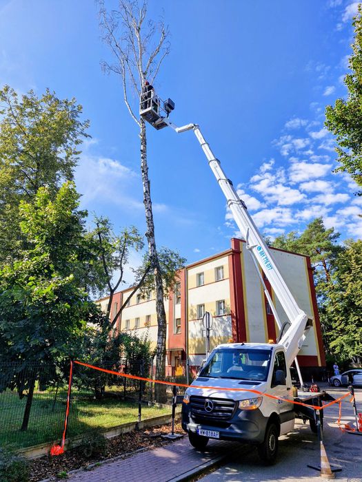 Wycinka drzew, usługi rębakiem, podnośnik koszowy, czyszczenie działek