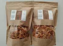 Maczużnik Bojowy (cordyceps) suszony - Dwa Opakowania po 100g