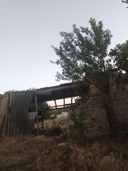 Продамо ділянку 25 соток + сарай