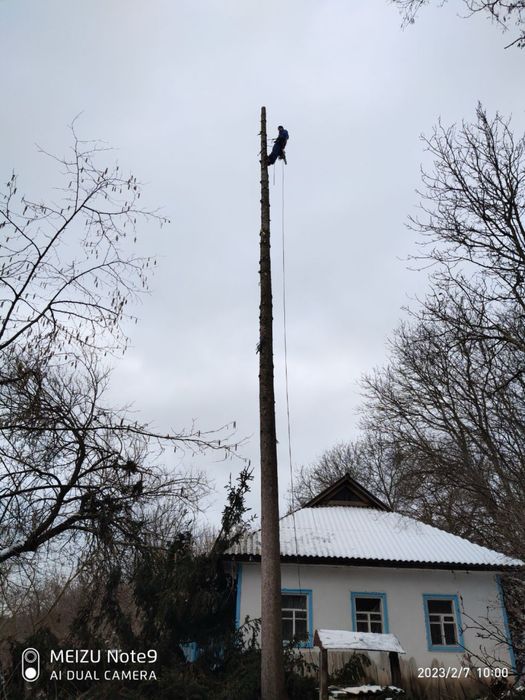 Арбористи.Зріз,обріз,спилювання,професійна валка дерев Утеплення