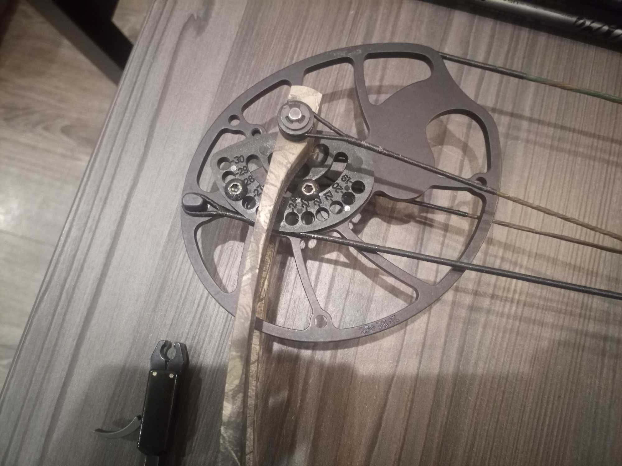 Łuk bloczkowy Hoyt Ignite 15-70lbs