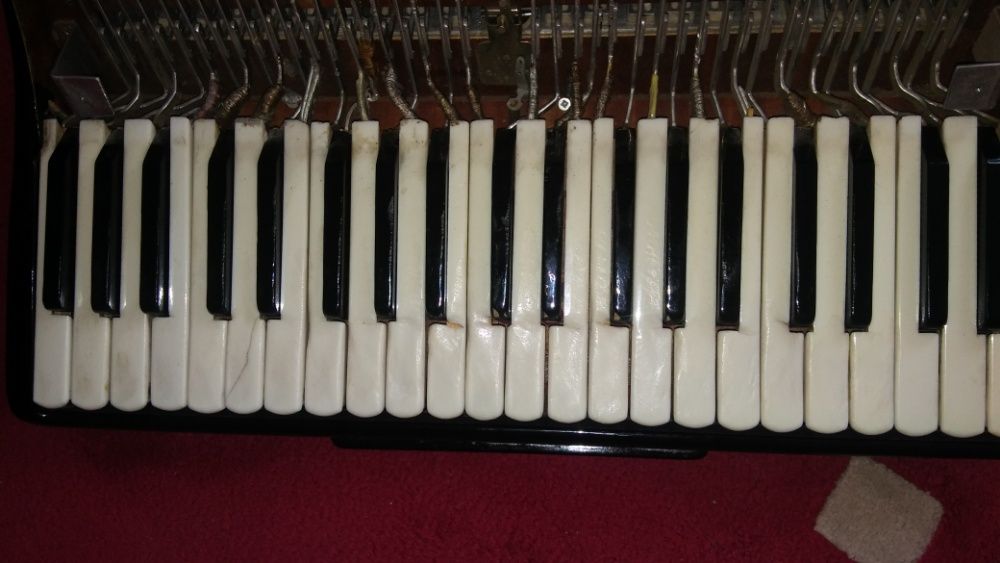 Strojenie,naprawa akordeon