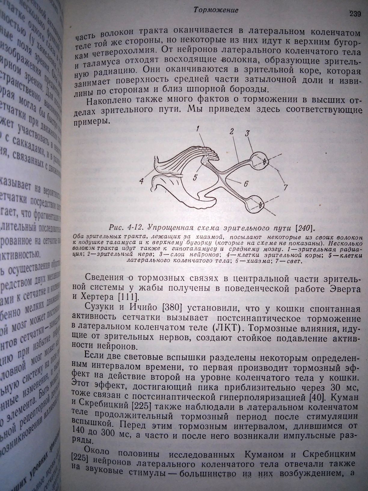 Тамар Основы сенсорной физиологии 1976