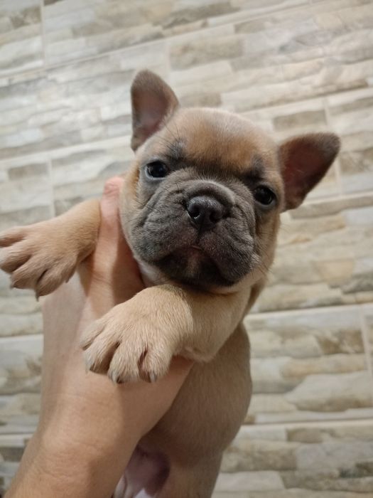 Шикарные карапузики ждут родителей