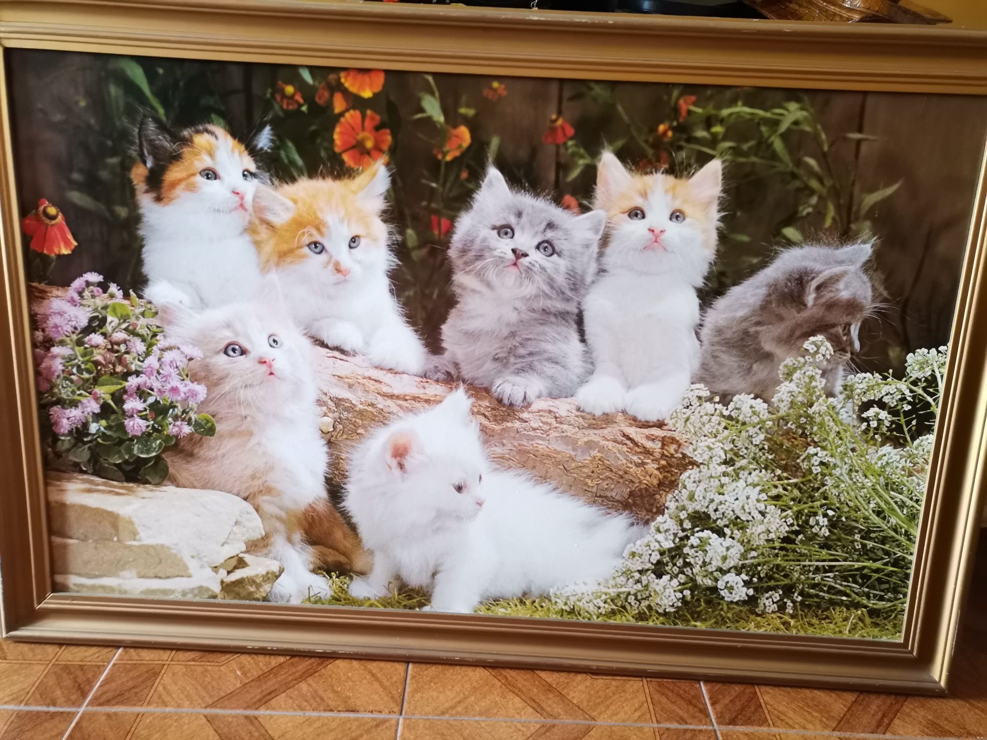 Quadro com gatinhos