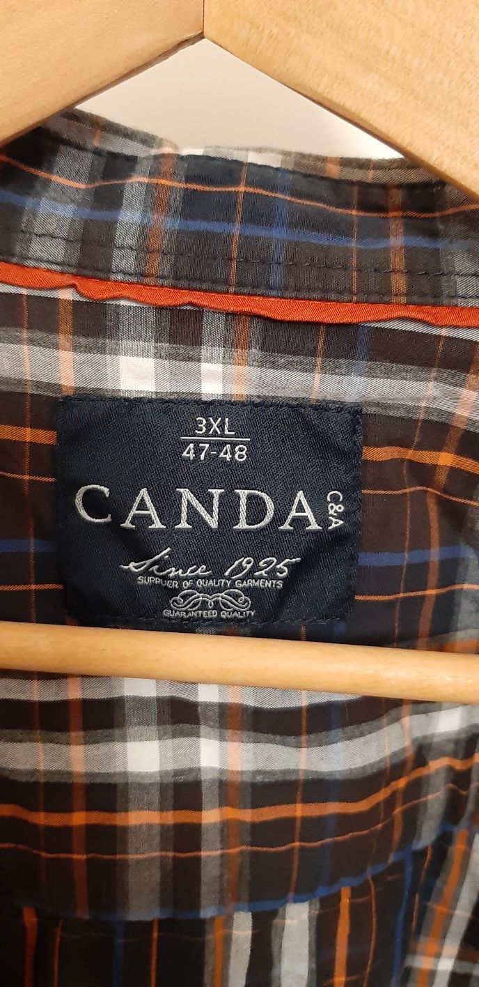 Camisas C&A Ângelo Litrico