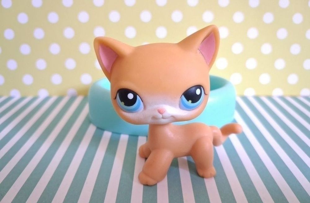 Littlest Pet Shop LPS unikatowy kot Shorthair #71 pop