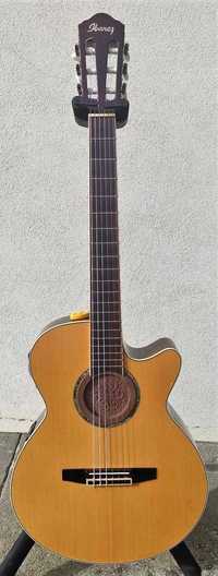 Ibanez Acústica AEG10N