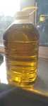 Продам масло подсолнечное домашнее