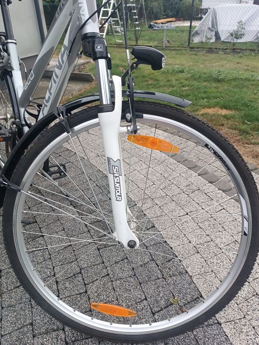 Rower Alpina eco