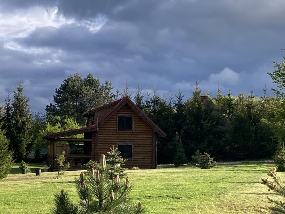 Domek na Mazurach, domek drewniany, las, Mazury, cisza, Mrągowo