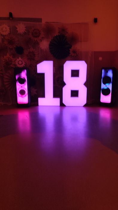 Wynajmę cyfry ledowe 0,1,2,3,4,5,6,8