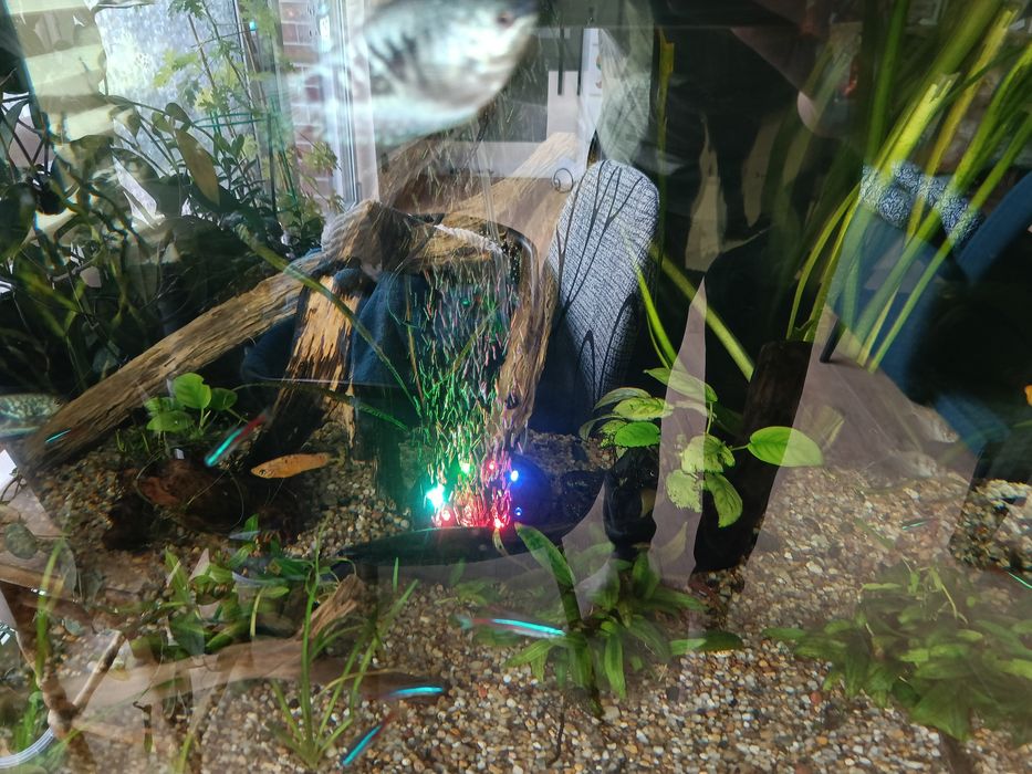 Napowietrza z diodami LED