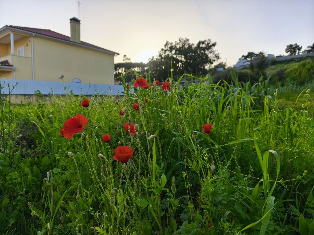 Lote para construção 455m2 - Casal do Pero Bom, Fontainhas - Santarém