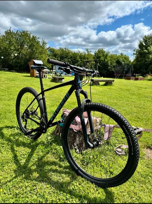Specialized chisel rozm. L