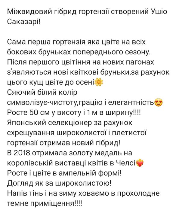 Гортензія ампельна Наречена втікачка. Сбежавшая невеста
