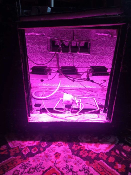 Гроубокс для вирощування рослин