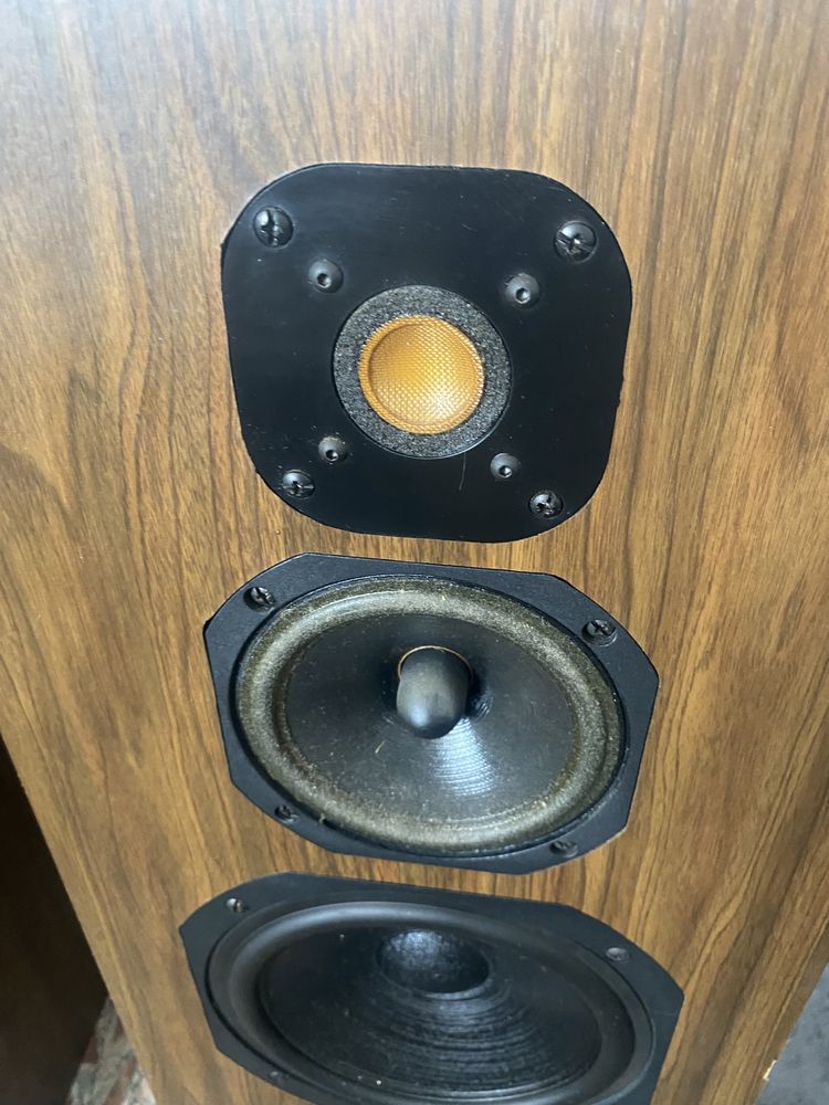 Jm lab Focal 601 Oracle