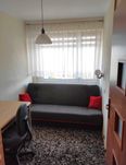 Pokój w Centrum ul. Waszyngtona dla chłopaka
