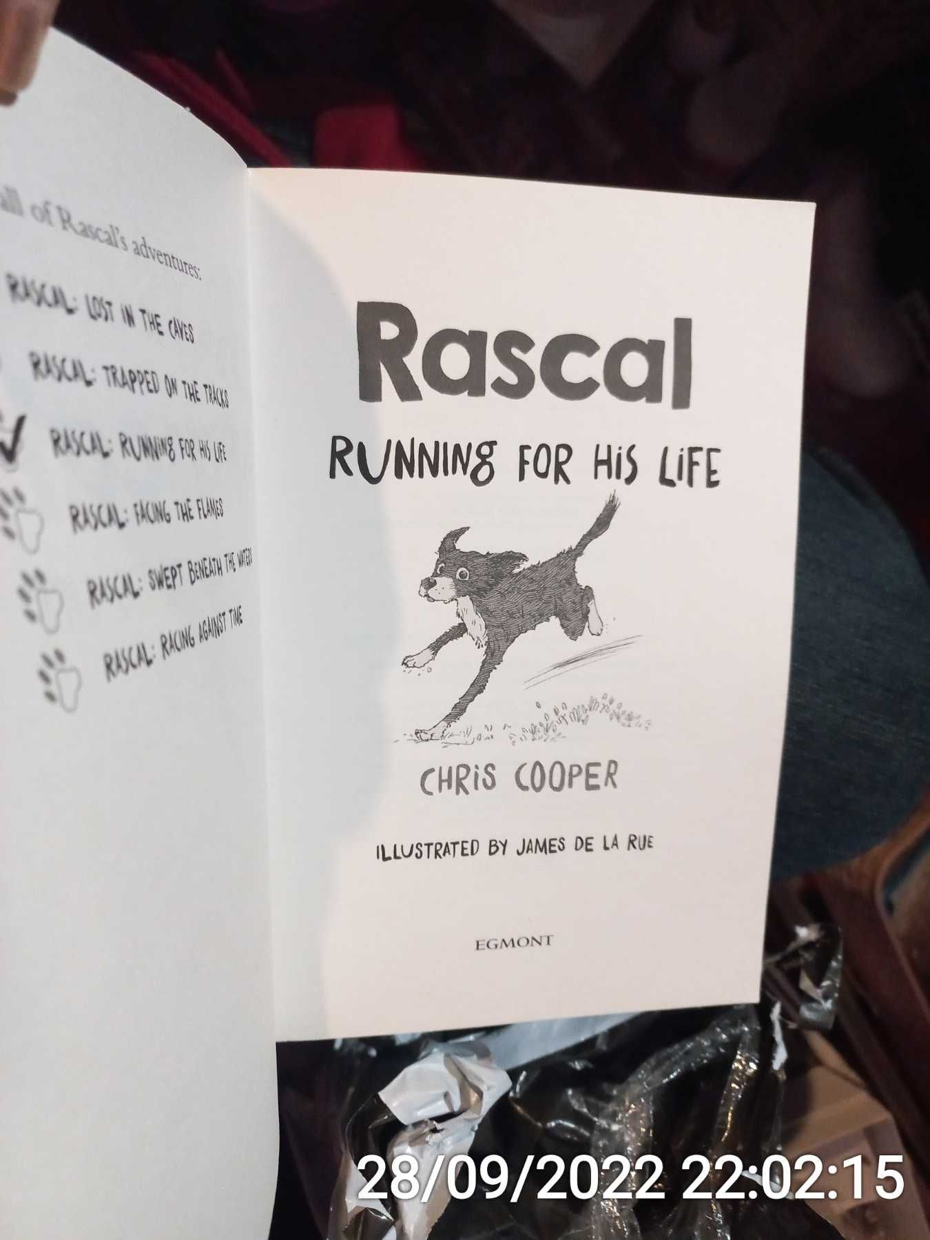 книга английский язык  rascal chris cooper  Running For His Life