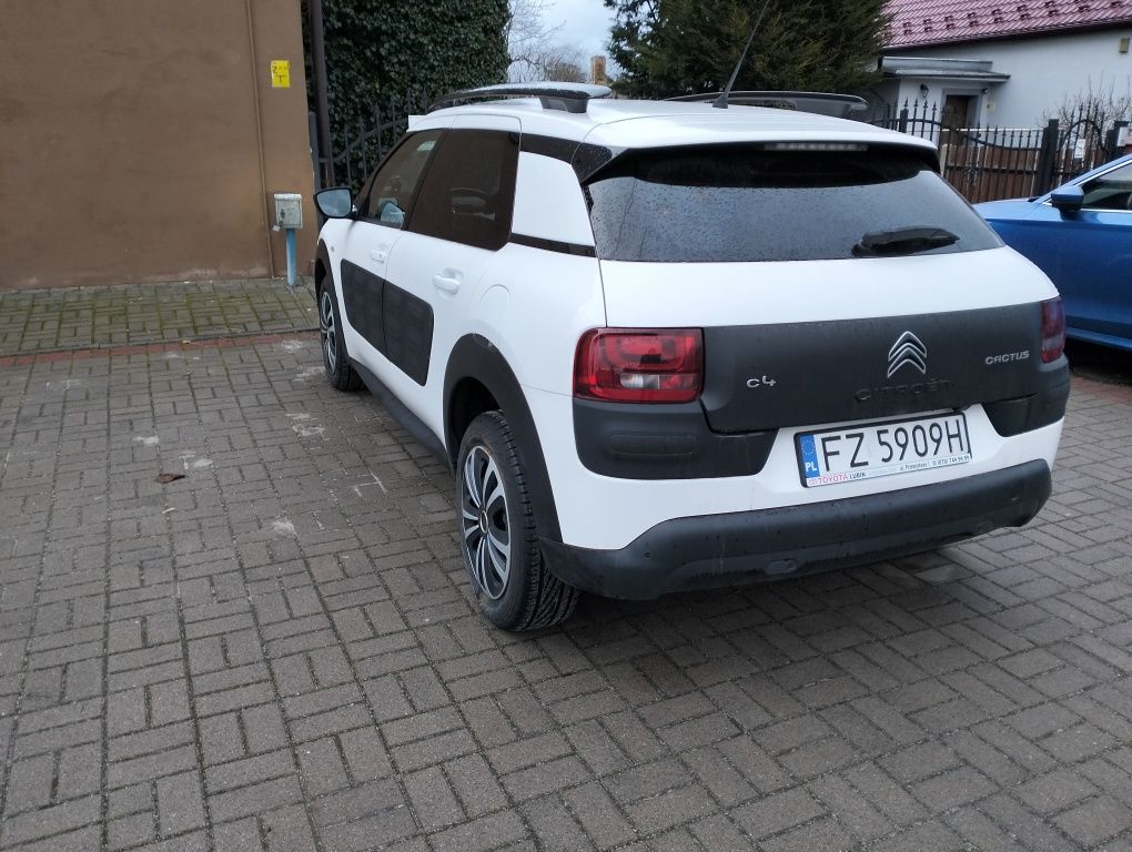 Citroen C4 cactus