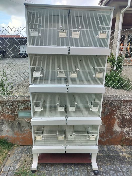 Viveiro para criação de pássaros de pequeno porte