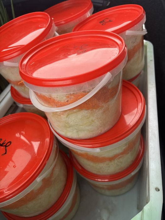 Sprzedam Kapuste kiszoną / szatkowaną