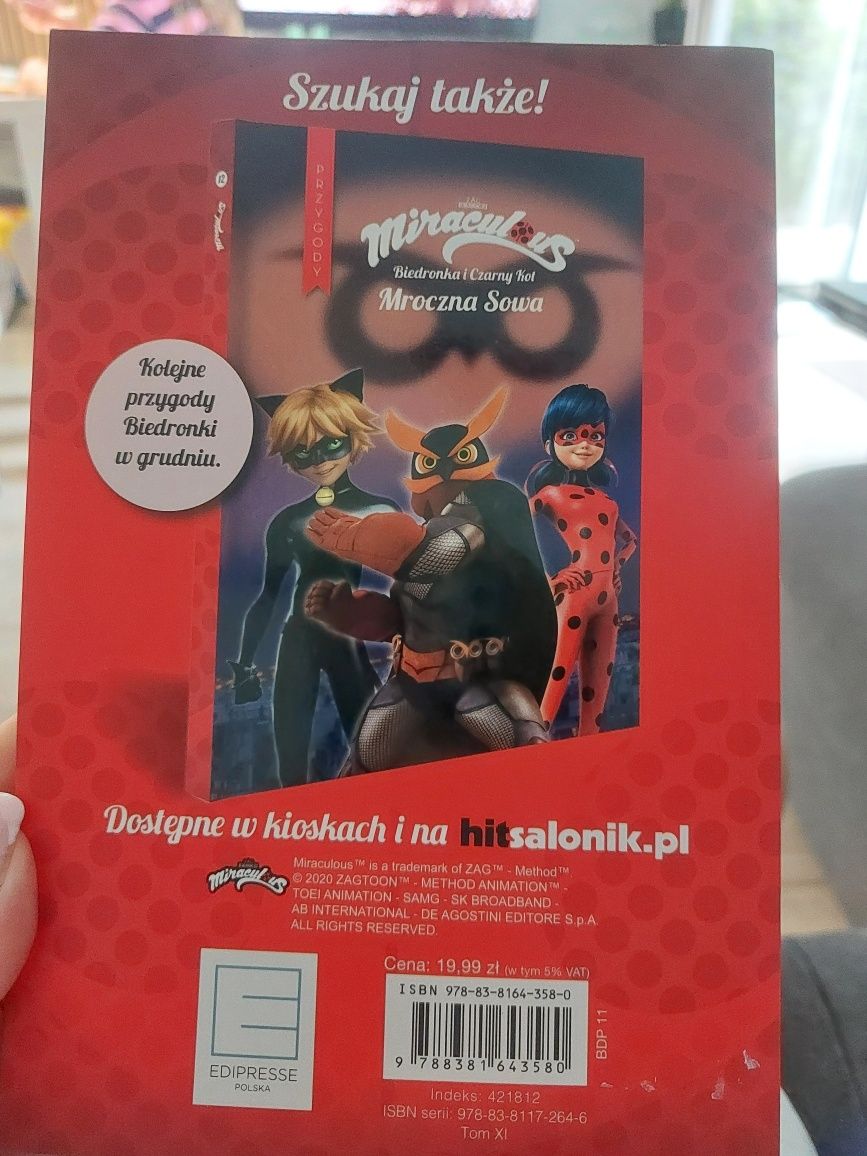 Książka Bobogigant Biedronka i czarny kot