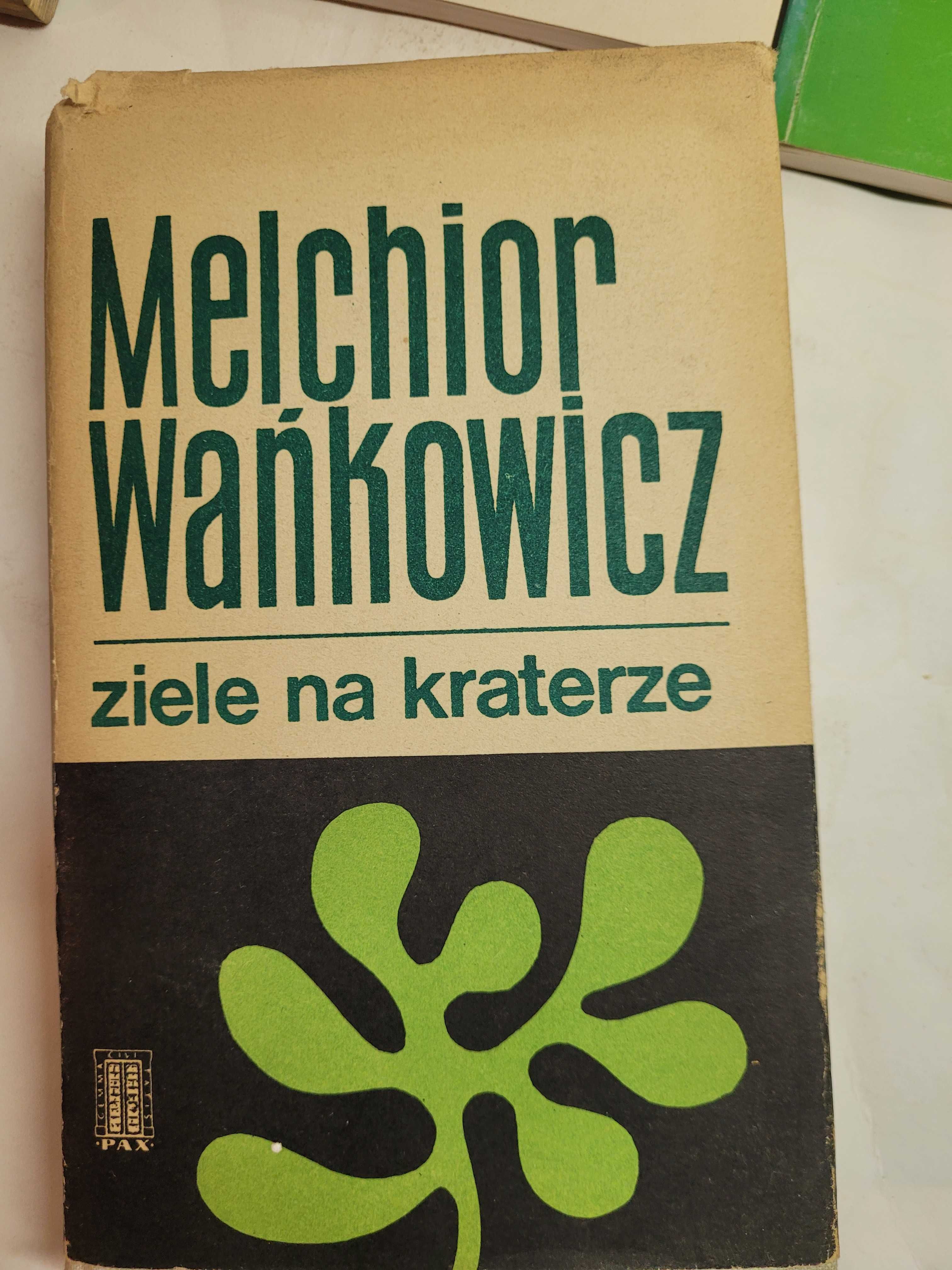 Ziele na kraterze Melchior Wańkowicz