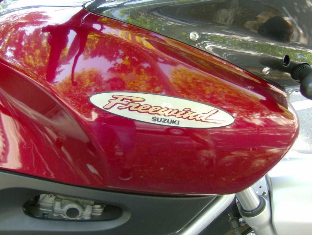 Mota Suzuki XF650 Freewind