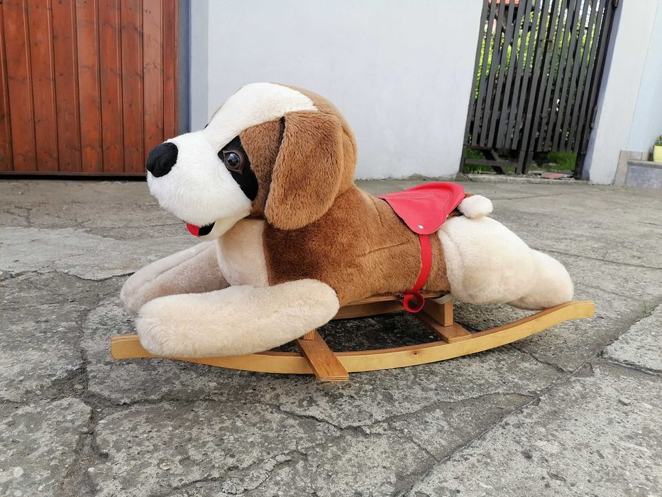 Pies na biegunach- bujak