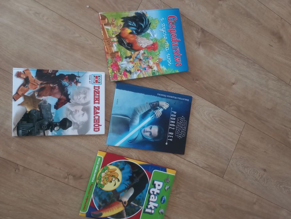 Zestaw 4 książek dla dzieci i młodzieży