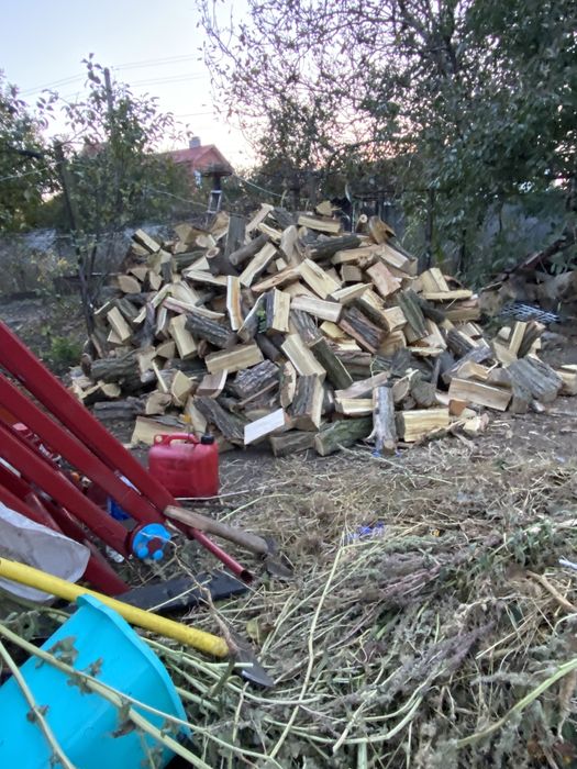 Дрова твердих та мʼяких порід