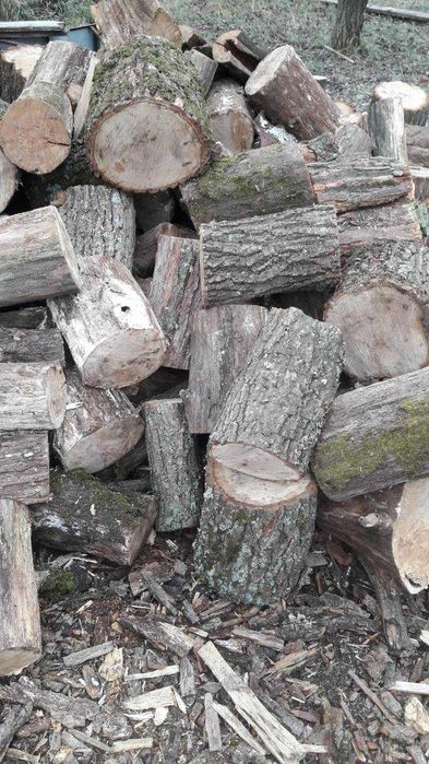Дрова метровка,пиляні, колоті,дуб,ясень.