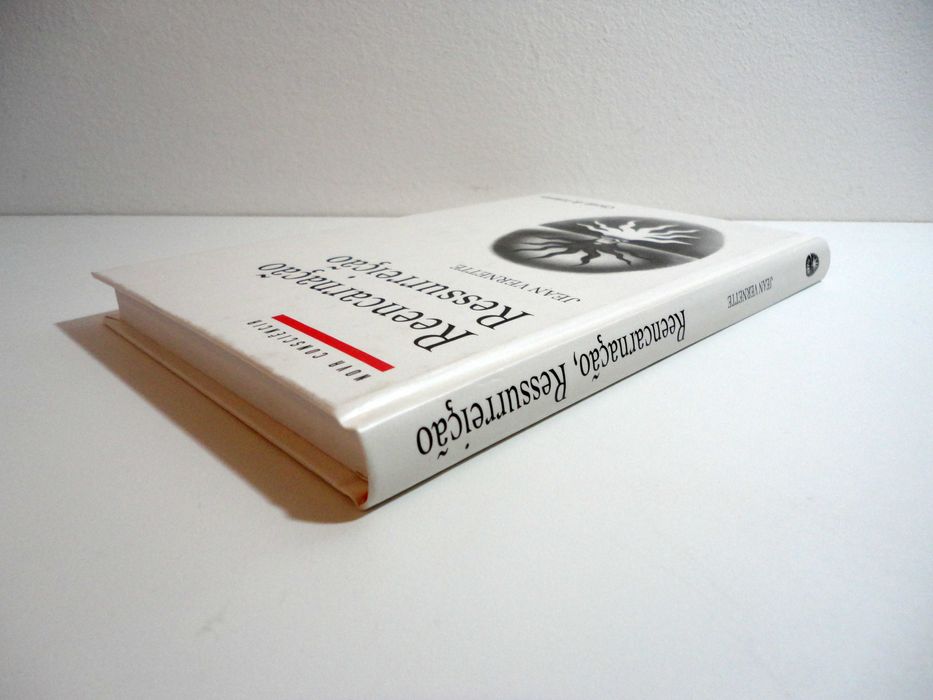 "Reencarnação, Ressurreição" (Jean Vernette)