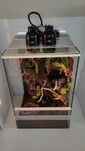 Terrarium z roślinami i korzeniami dla gekona, TW01RG, AquaWaves