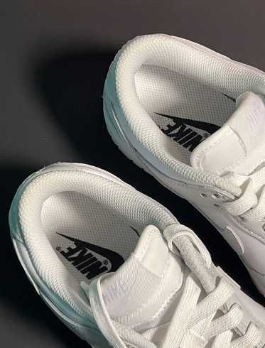 Nike Dunk Grey Low Blanc Fog pełny rozmiar