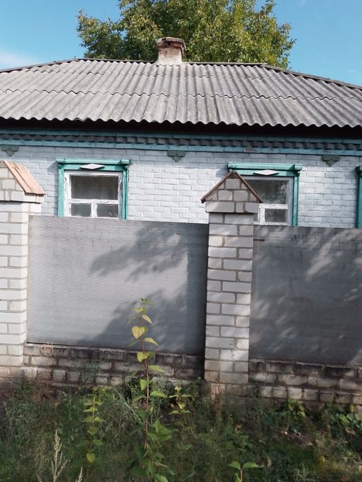 Продам   будинок село новийстародуб
