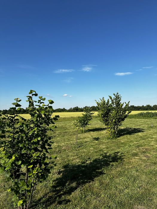 Косіння трави / Покіс трави Тернопіль