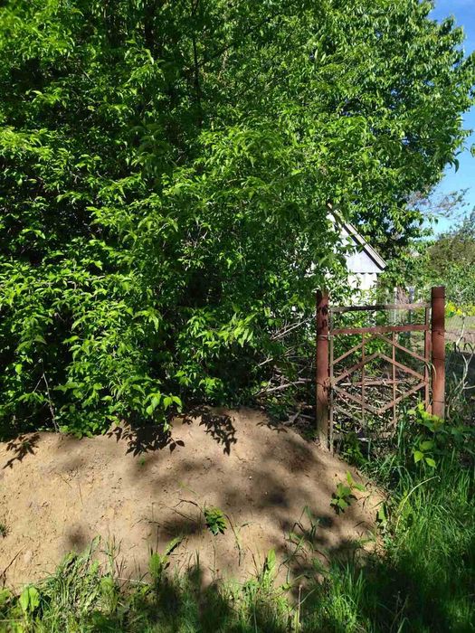 (3) Продам земельну ділянку в с. Сальник 5795