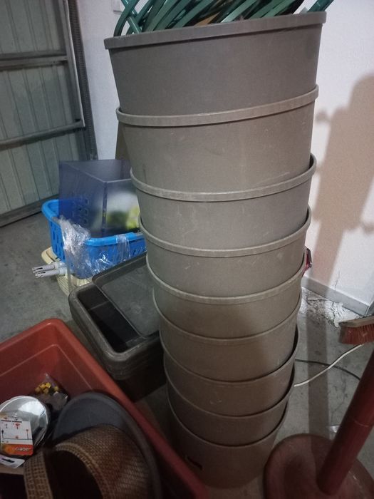 Vasos de tomateiros e pás