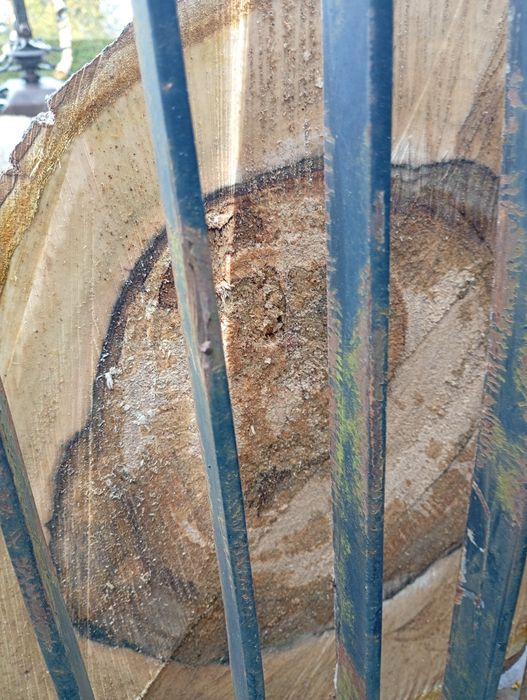 Orzech włoski w klocu