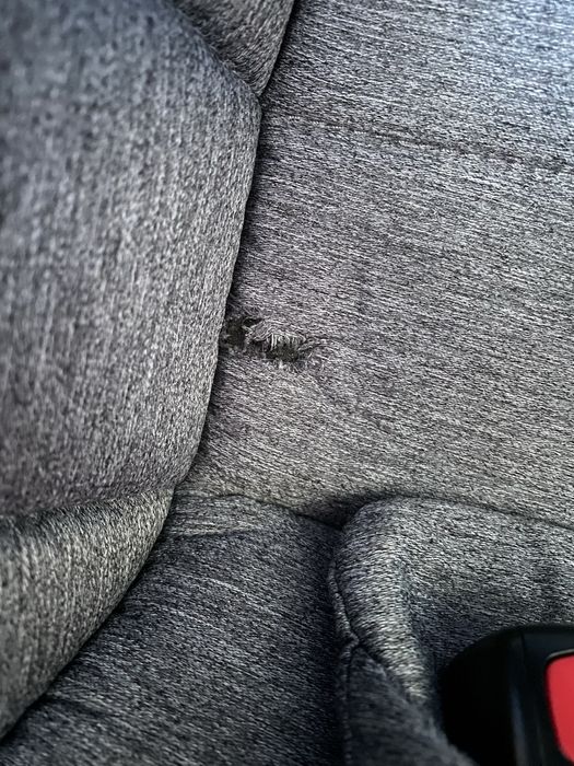 Fotelik avionaut pixel