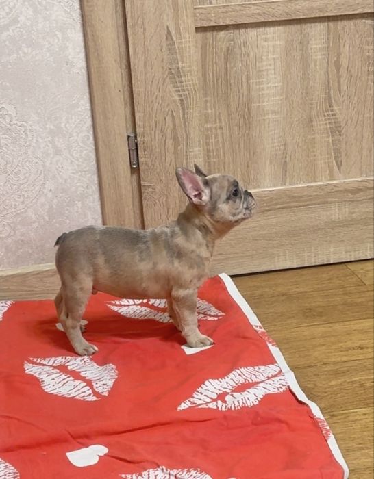 Наймиліші малята у нас!