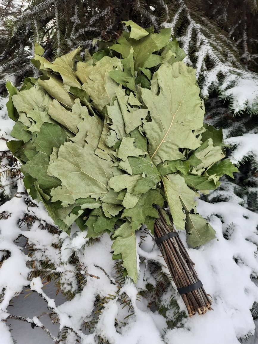 Віники для бані, лазні, сауни (ДУБ, БЕРЕЗА)